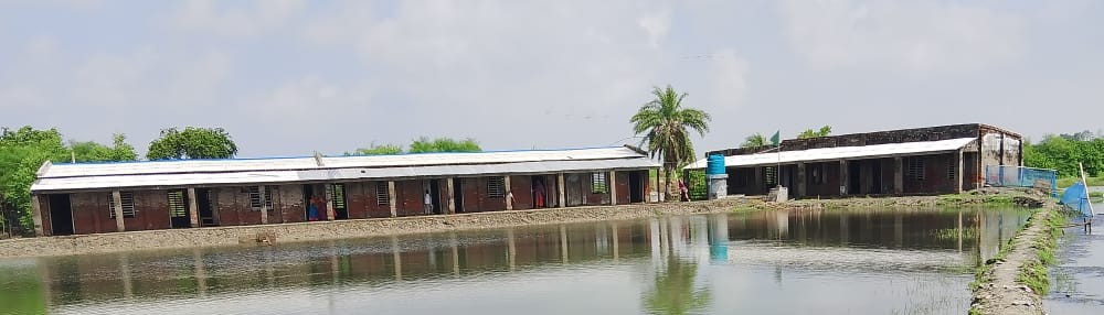 বিদ্যালয় প্রাঙ্গণ